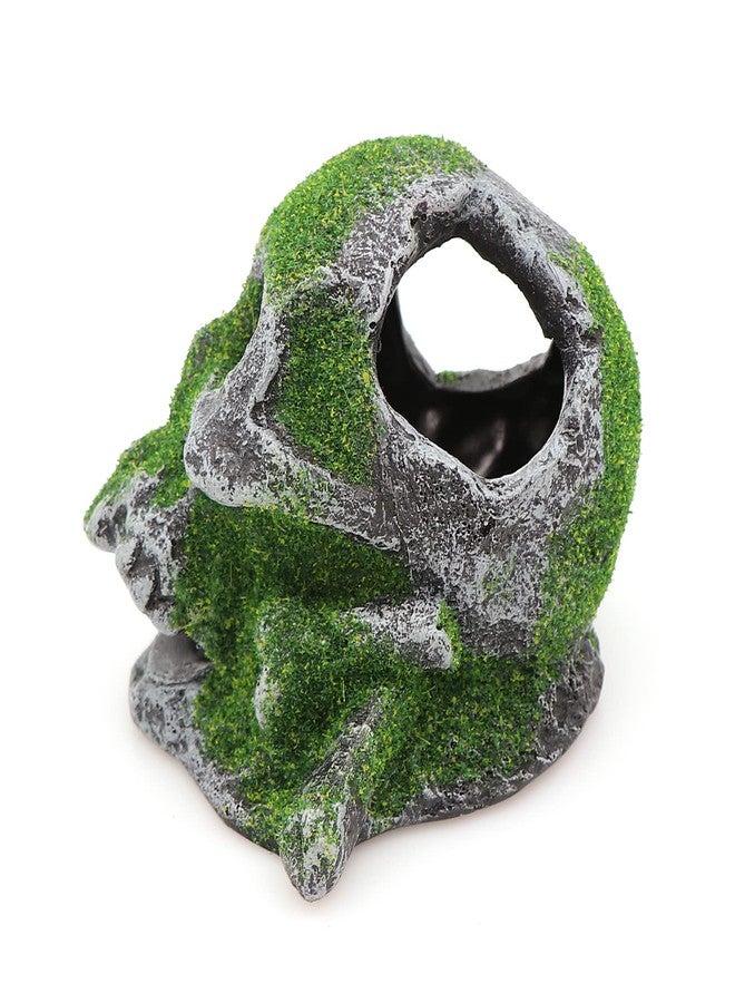 AQUA KT Aquarium Landscape Head Skeleton Skull Rock Fish Hiding Place Cichlid Cave for Gold Betta Fish Tank Decoration Freshwater or Marine Aquariums - Image 5